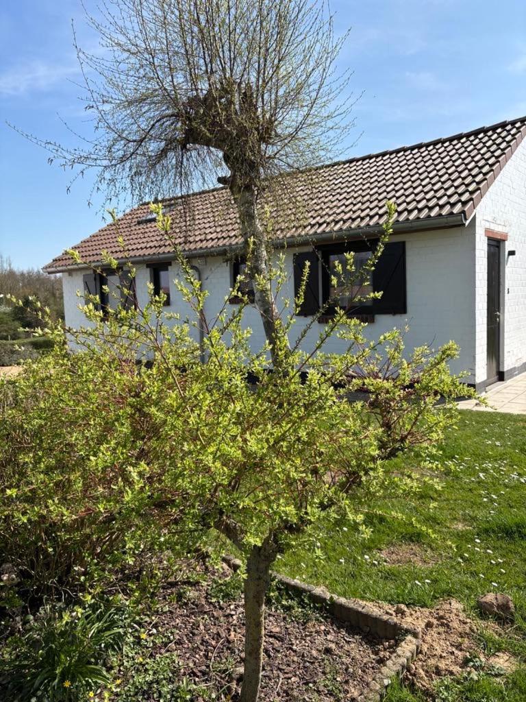 Villa Mijn Kleinhof à Westouter Extérieur photo
